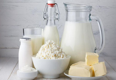 乳制品行业蒙牛集团工业锅炉解决方案