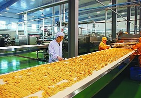食品行业锅炉应用领域